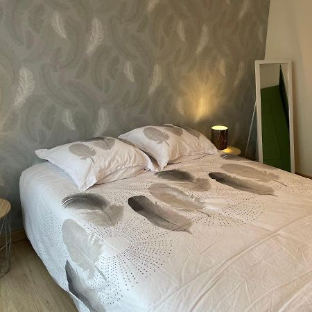 Appartement Du Grand Parc Châteauroux Kültér fotó