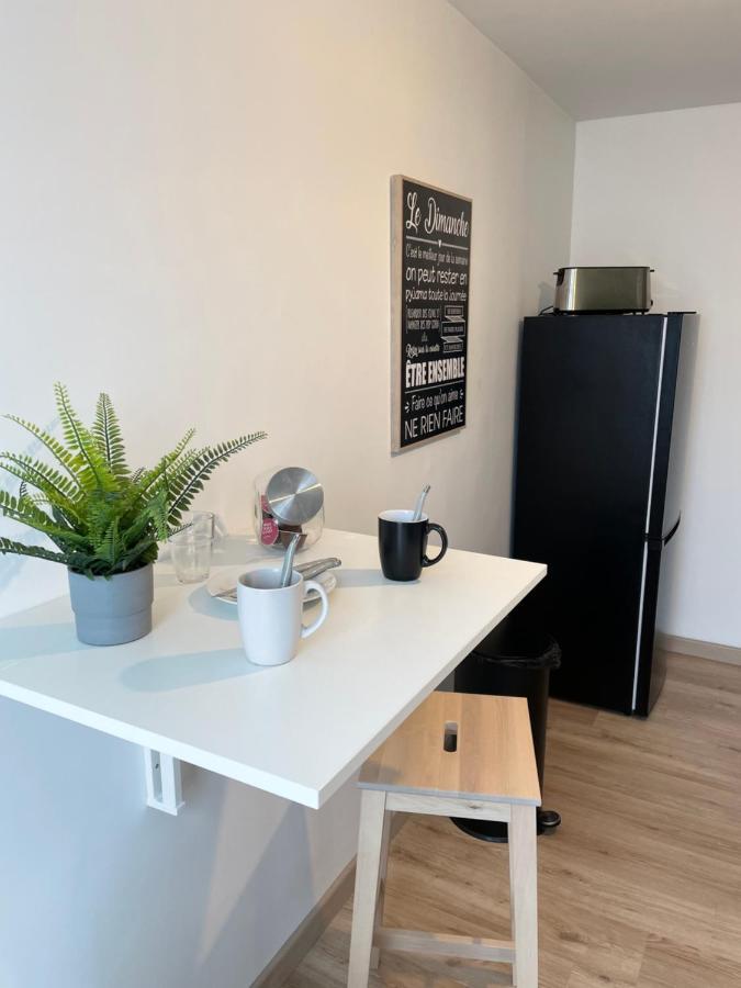 Appartement Du Grand Parc Châteauroux Kültér fotó